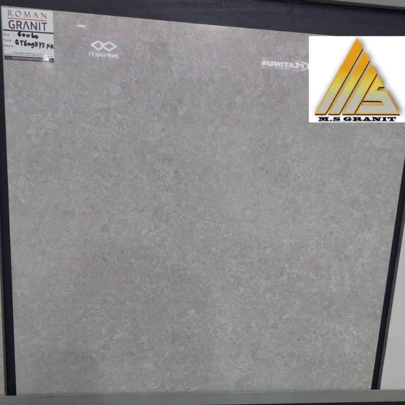 GRANITE 60X60 ROMAN GT609873 dLINOSA GRIGIO