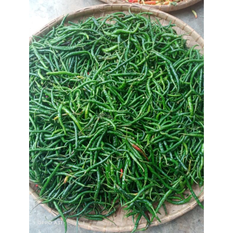 

Ready siap kirim Cabe keriting hijau/ cabe ijo