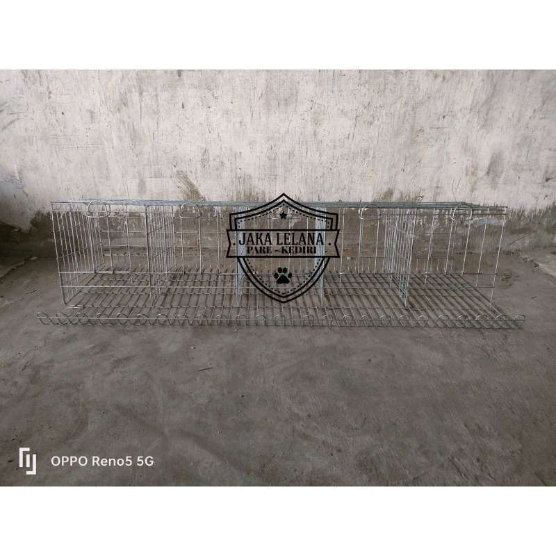 KANDANG LAYER BATERAY AYAM PETELUR ISI 10 EKOR 5 PINTU