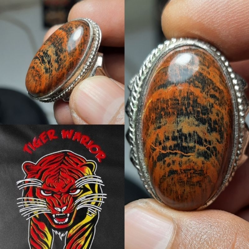 Batu akik fosil mutif lorek macan merah berkodam