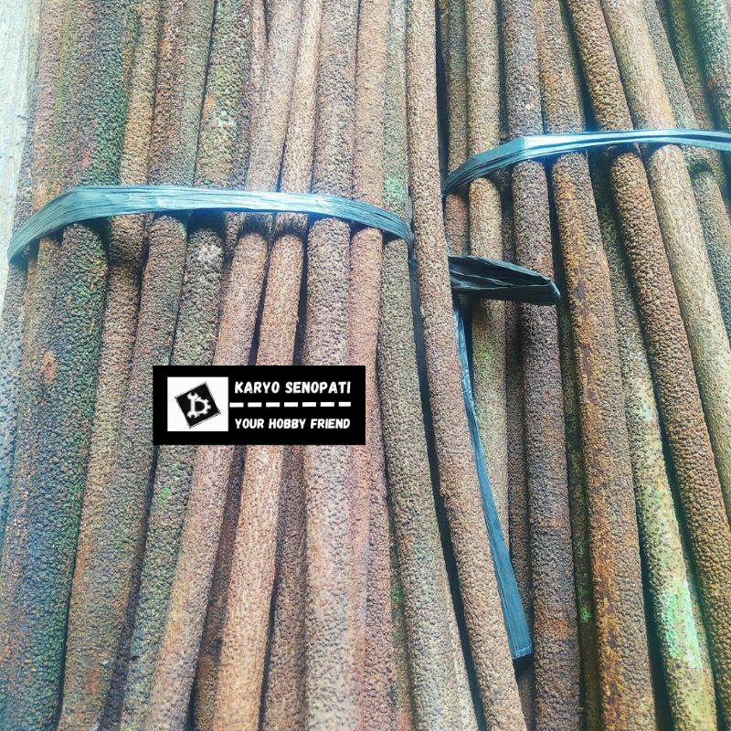 asem bali super A+ tangkringan murai batu great A+ panjang 65cm kasar lurus bulat presisi