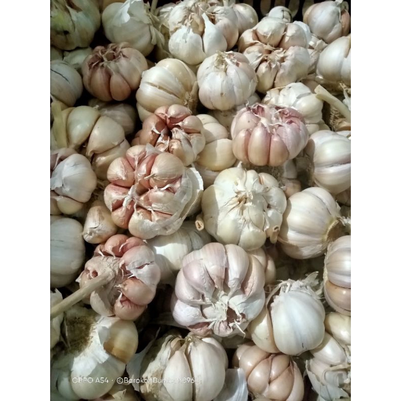 

Bawang putih bersih 500gr