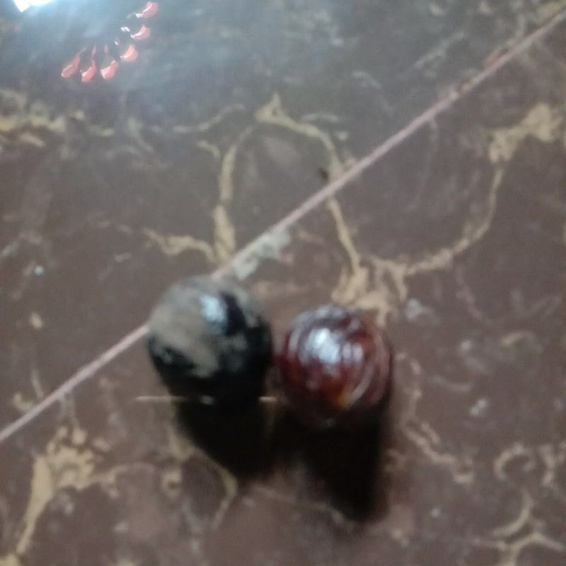 

buah pala