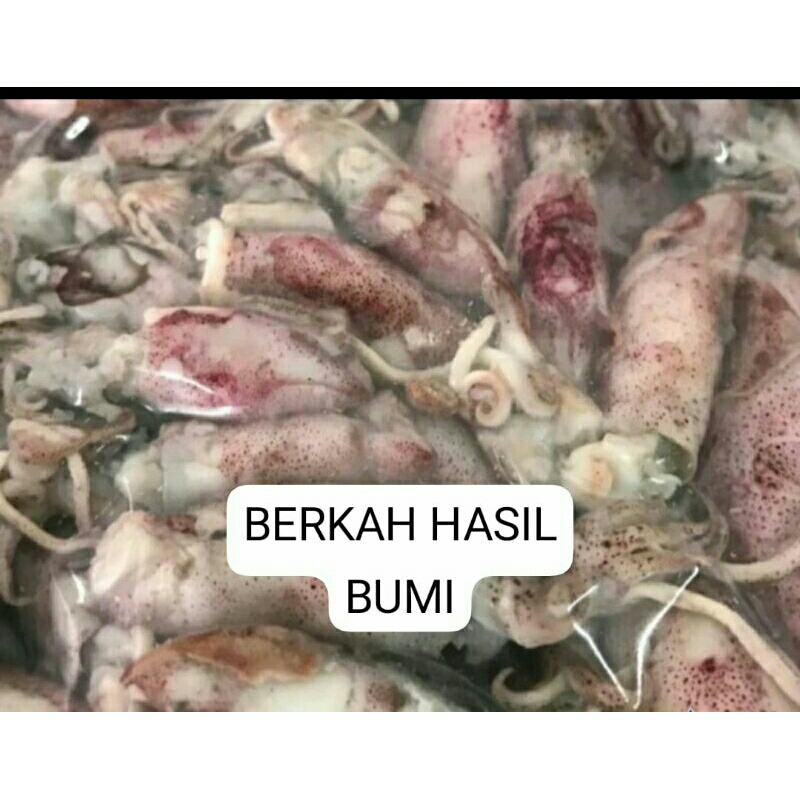 

OBRAL MURAH!!!500g BEBY CUMI ASIN KERING FRES PREMIUM