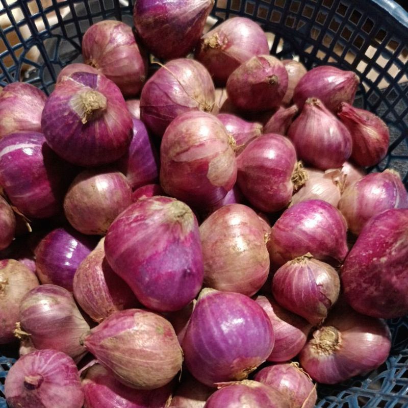 

[TERMURAH] Bawang Merah BREBES 1 kg - BESAR / SUPER