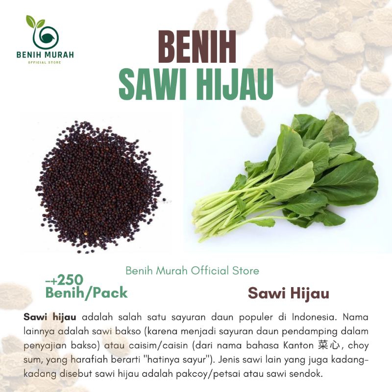 

Sawi Hijau