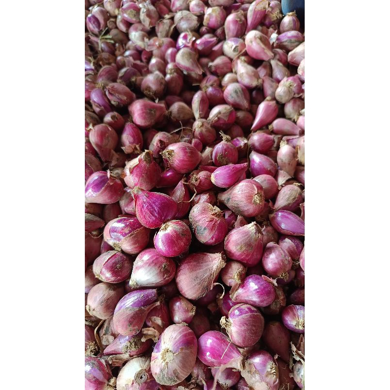 

[TERMURAH] Bawang Merah LOKAL 1 kg - KECIL