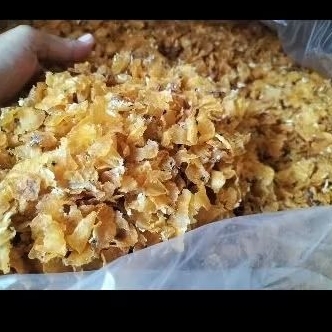

EMPING JAGUNG MENTAH