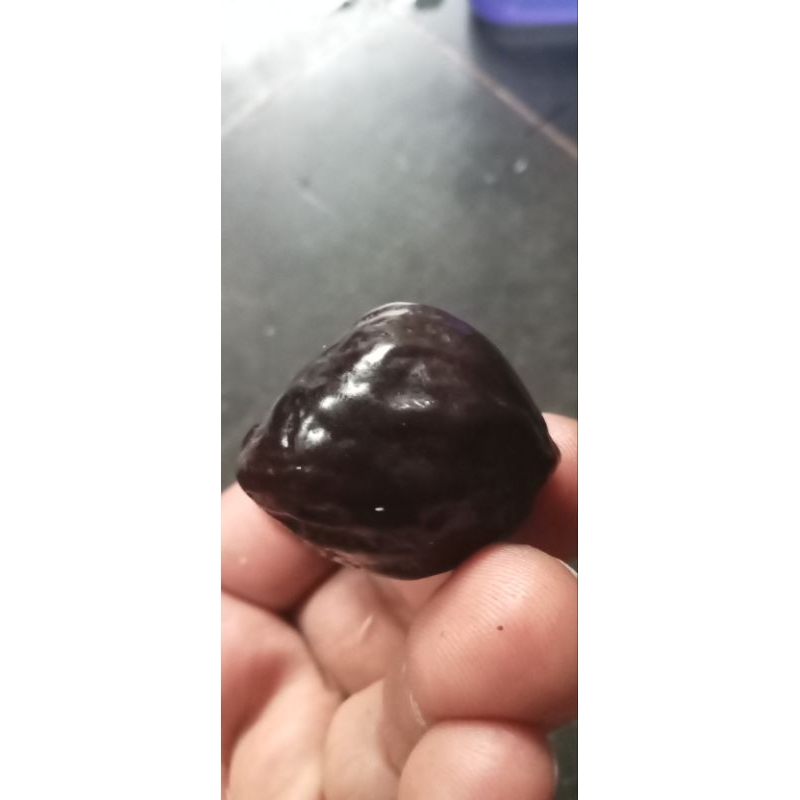 Muncang/ kemiri jalim