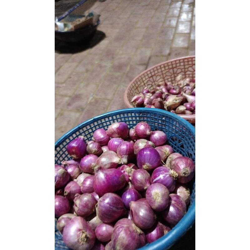 

[TERMURAH] Bawang Merah LOKAL - 1 kg Campur ( besar kecil )