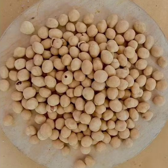 

(1 KG) KACANG ATOM (SP) / KACANG ATOM SATELIT PALAPA