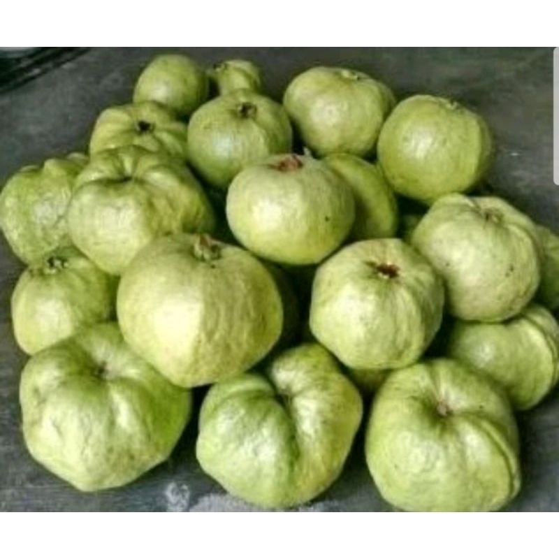 

jambu kristal kemasan 1 kg