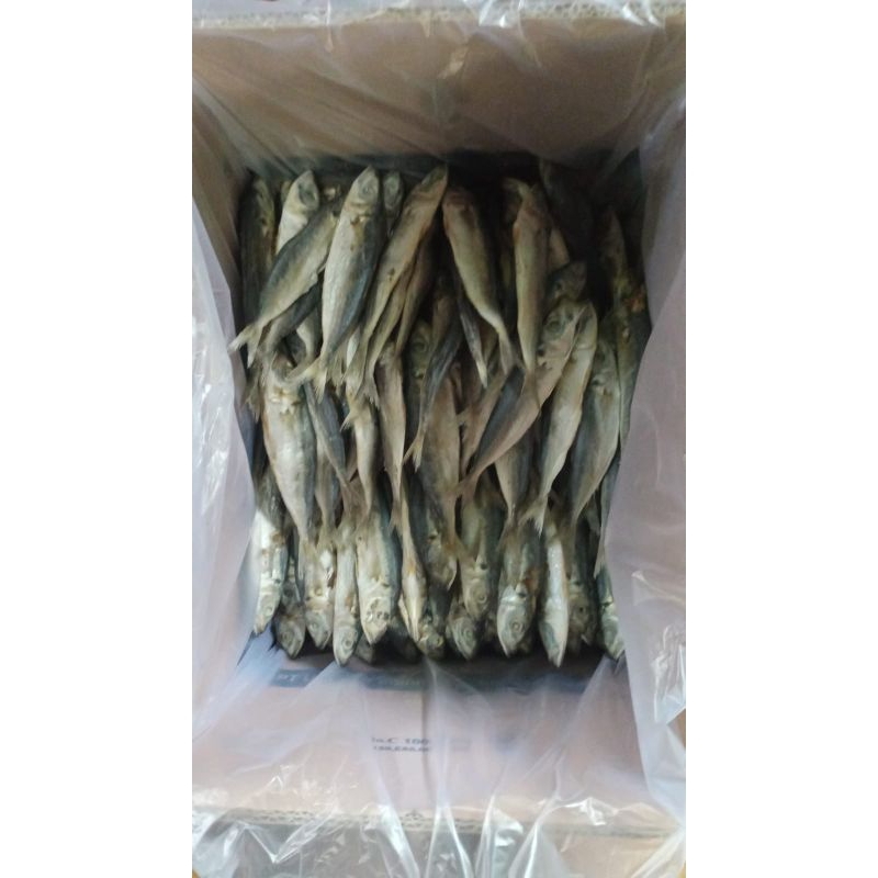 

IKANASIN LAYANG MURAH
