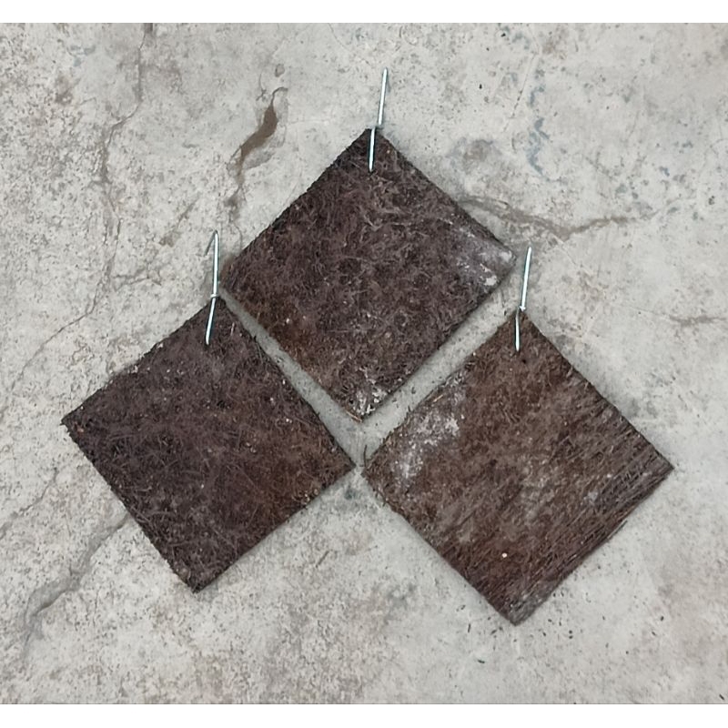 papan pakis 15x15 media kadaka+simbar