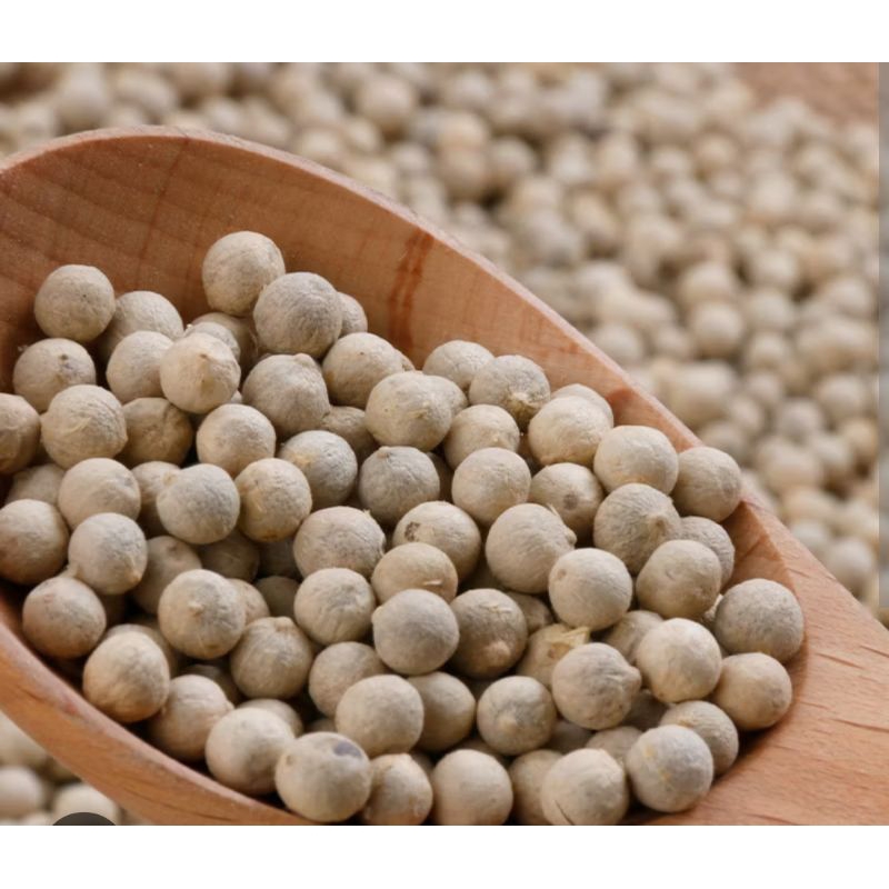 

Sahang Biji Putih Bersih kemasan 100g.(Suplayer Resto Terkemuka)