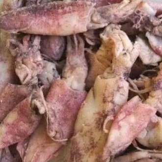

cumi kering asin