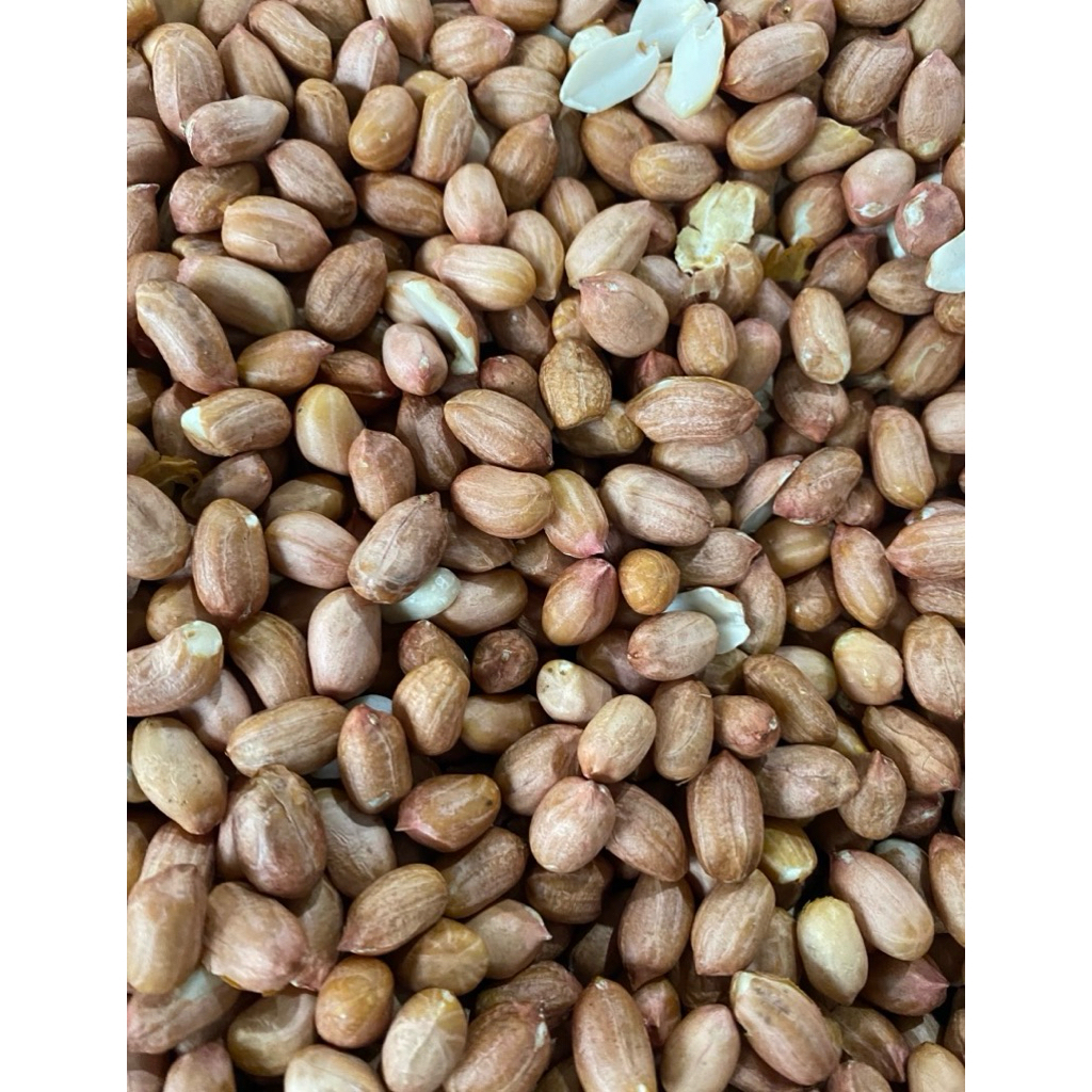 Kacang Tanah China Super Premium Besar-Besar / Kacang Tanah Super Premium / Kacang Tanah 250gr / Kac