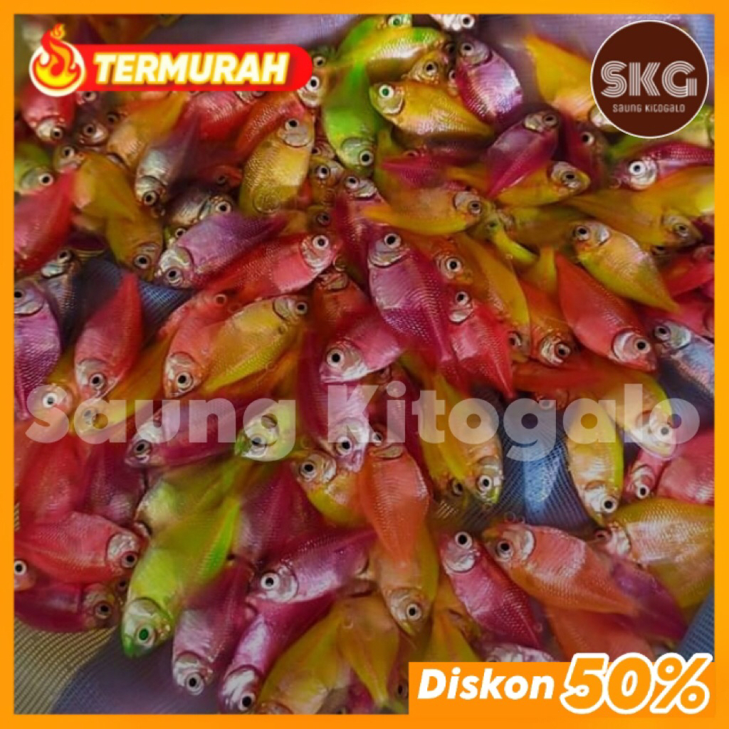Ikan Hias Kecil Glowing Fish Warna Warni Untuk Aquarium Aquascape