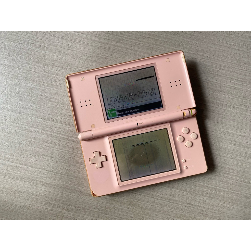 Nintendo DS Lite