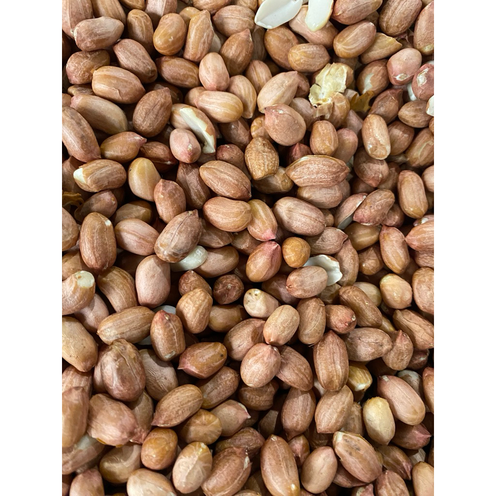 Kacang Tanah China Super Premium Besar - Besar / Kacang Tanah Super Premium / Kacang Tanah Super Pre