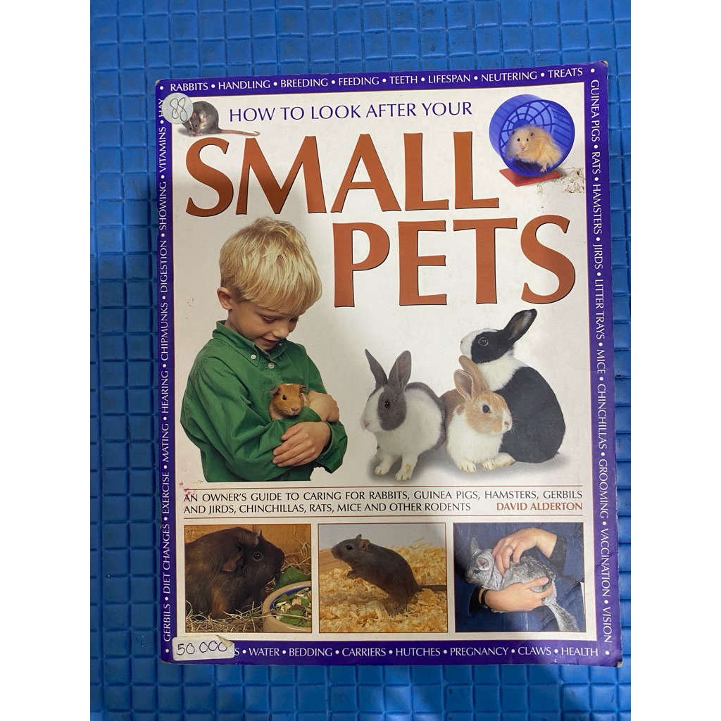 PL buku How to look after your Small Pets oleh David Alderton TH