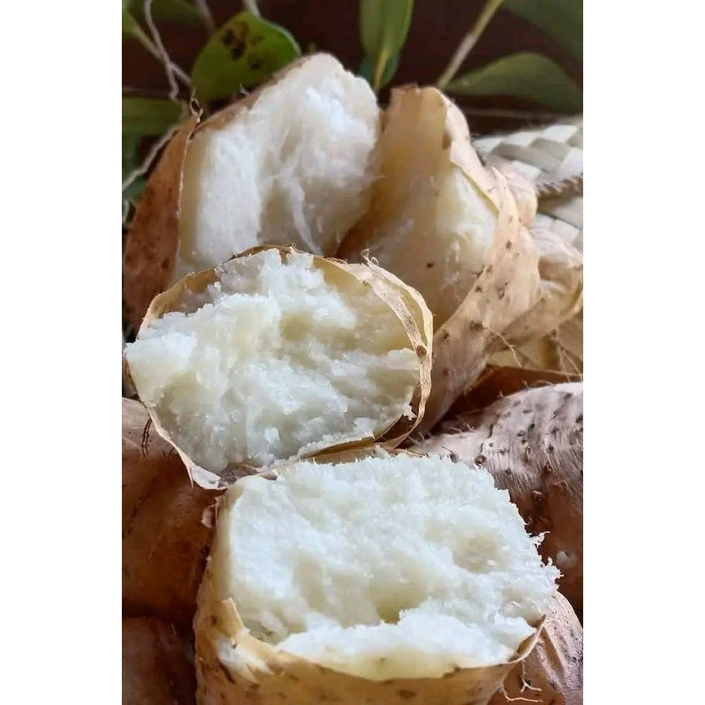 gembili 1 kg
