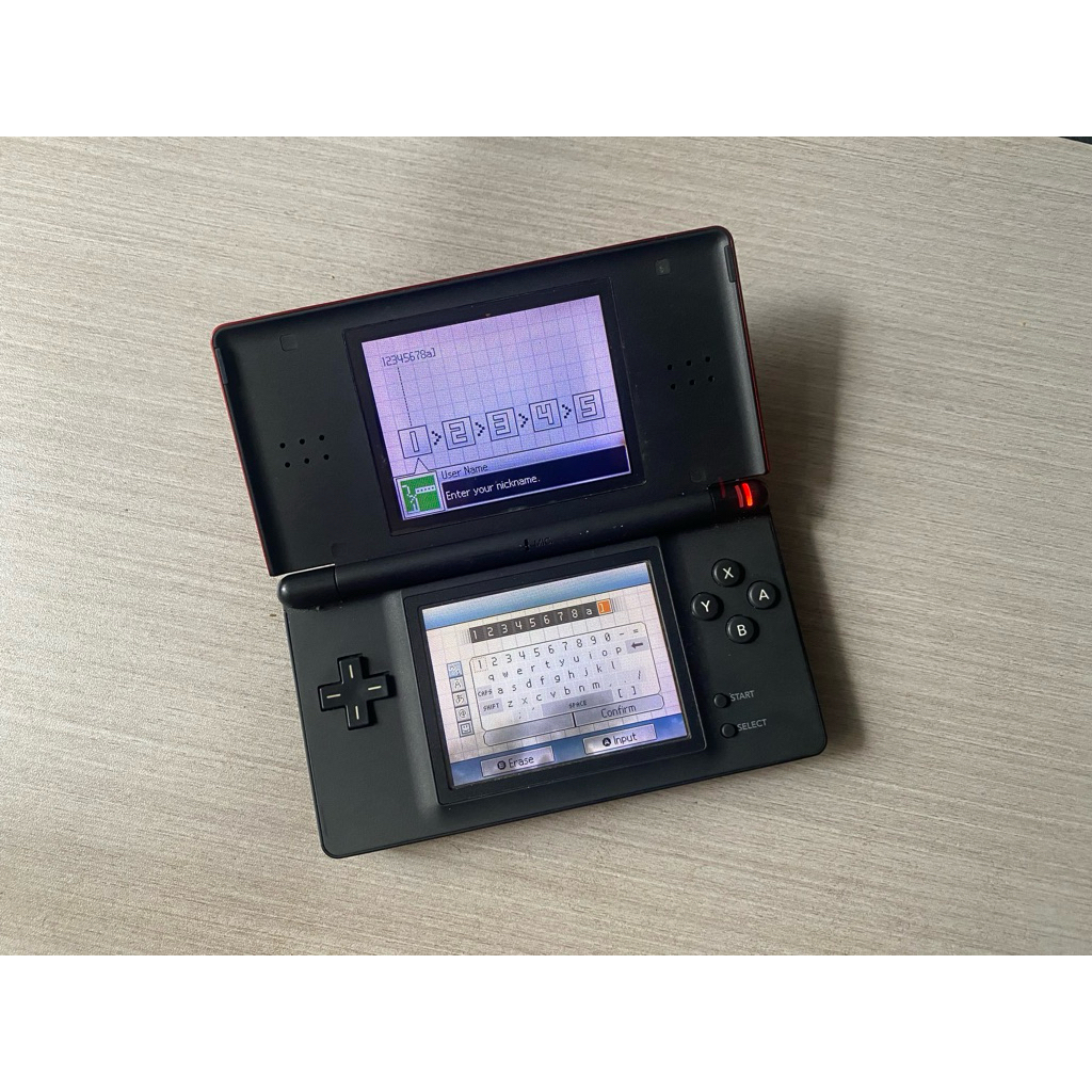 Nintendo DS Lite