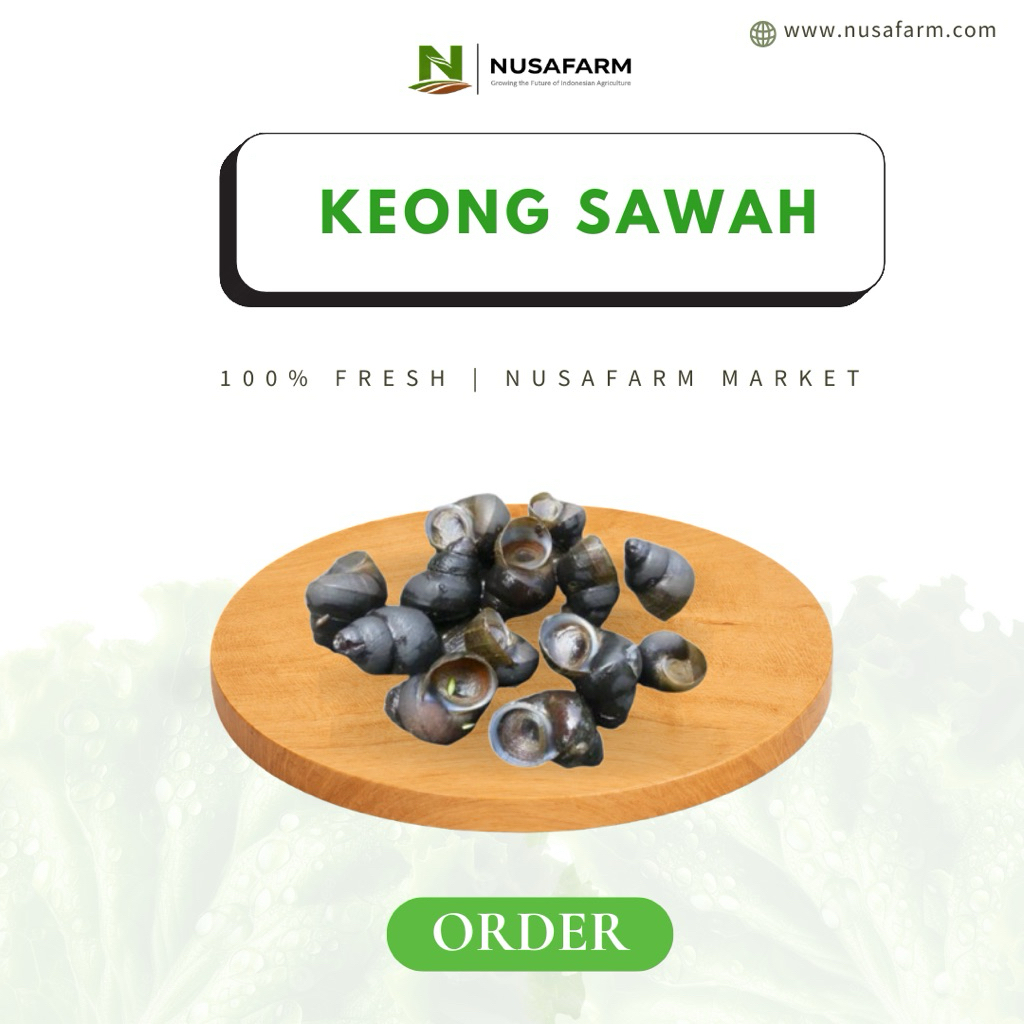 NUSAMART - Keong Sawah Segar Pilihan Tutut Mentah Potong Ekor Siap Bumbu | 500g