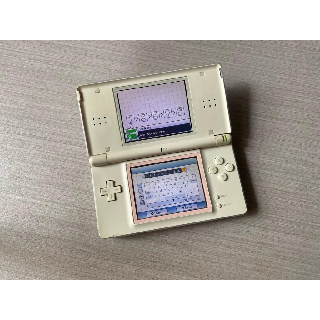 Nintendo DS Lite