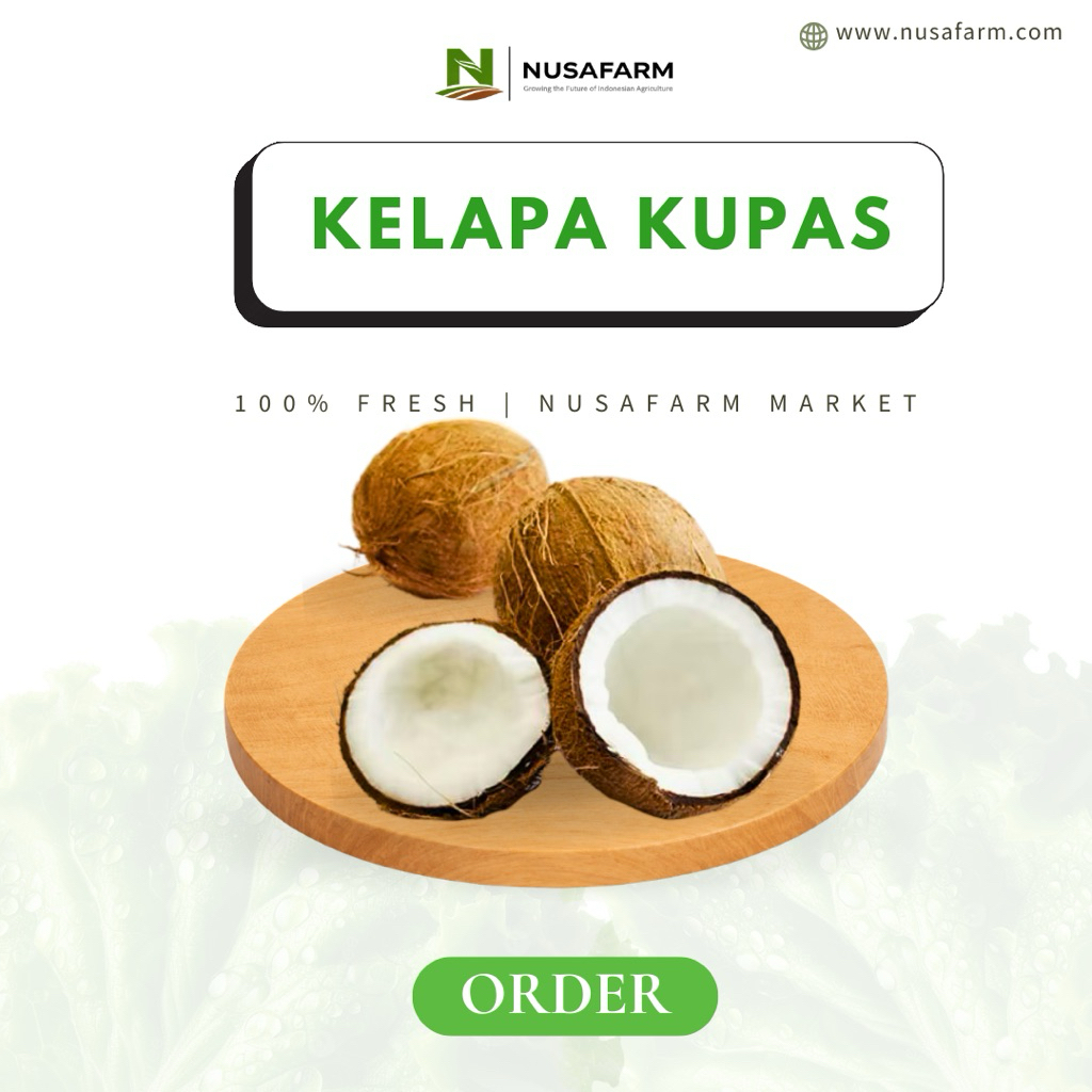 NUSAMART - Kelapa Kupas Segar Pilihan Butiran Bersih Bahan Santan Urap | 1 Butir