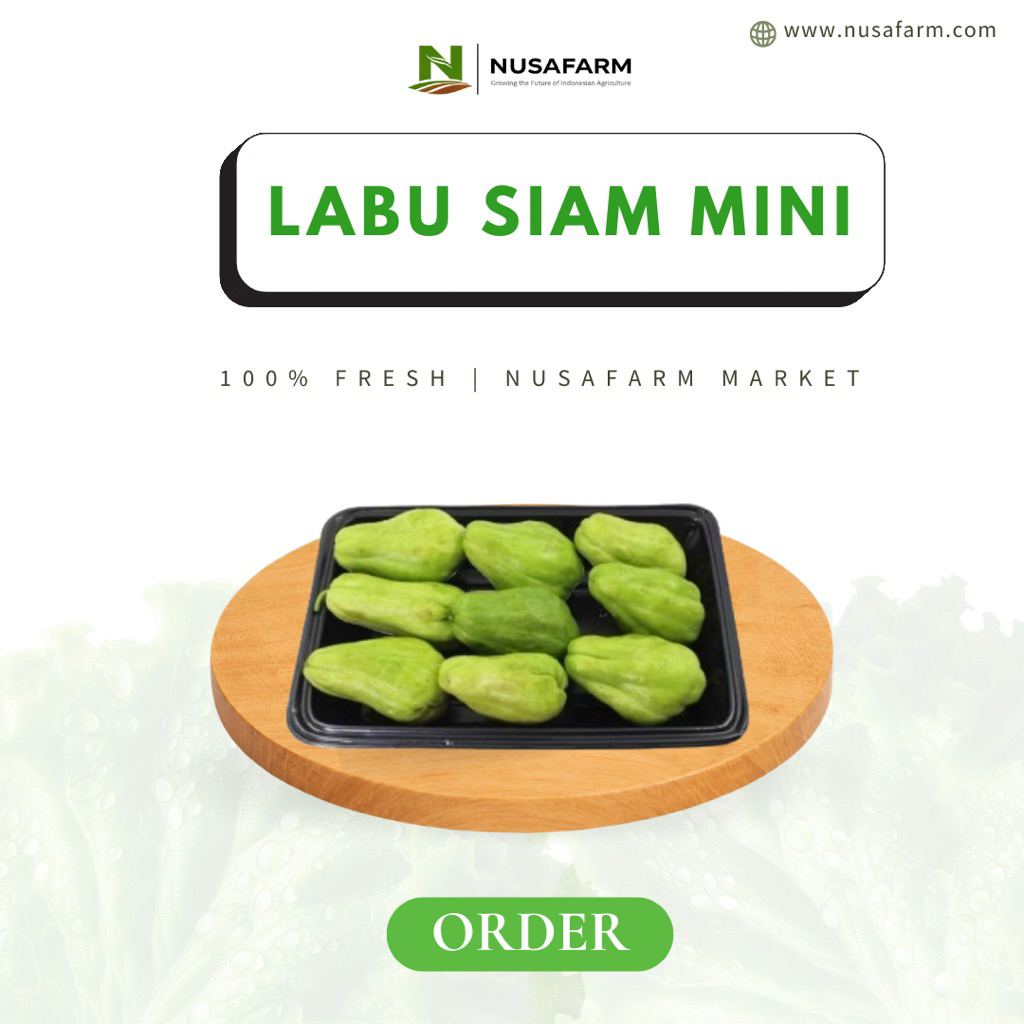 NUSAMART - Labu Siam Mini Kecil Segar Pilihan Garing Renyah Mulus | 1 Pack