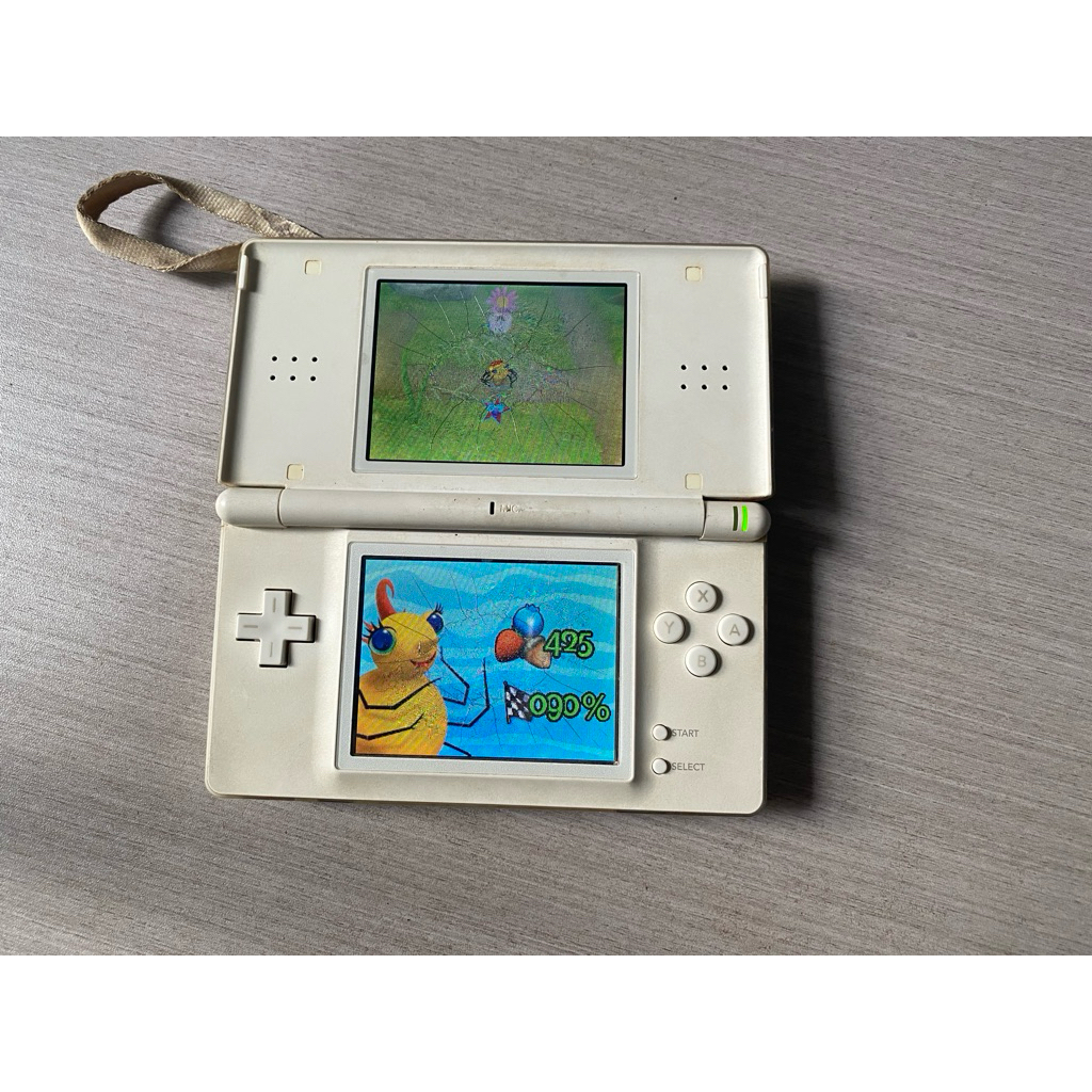 Nintendo DS Lite