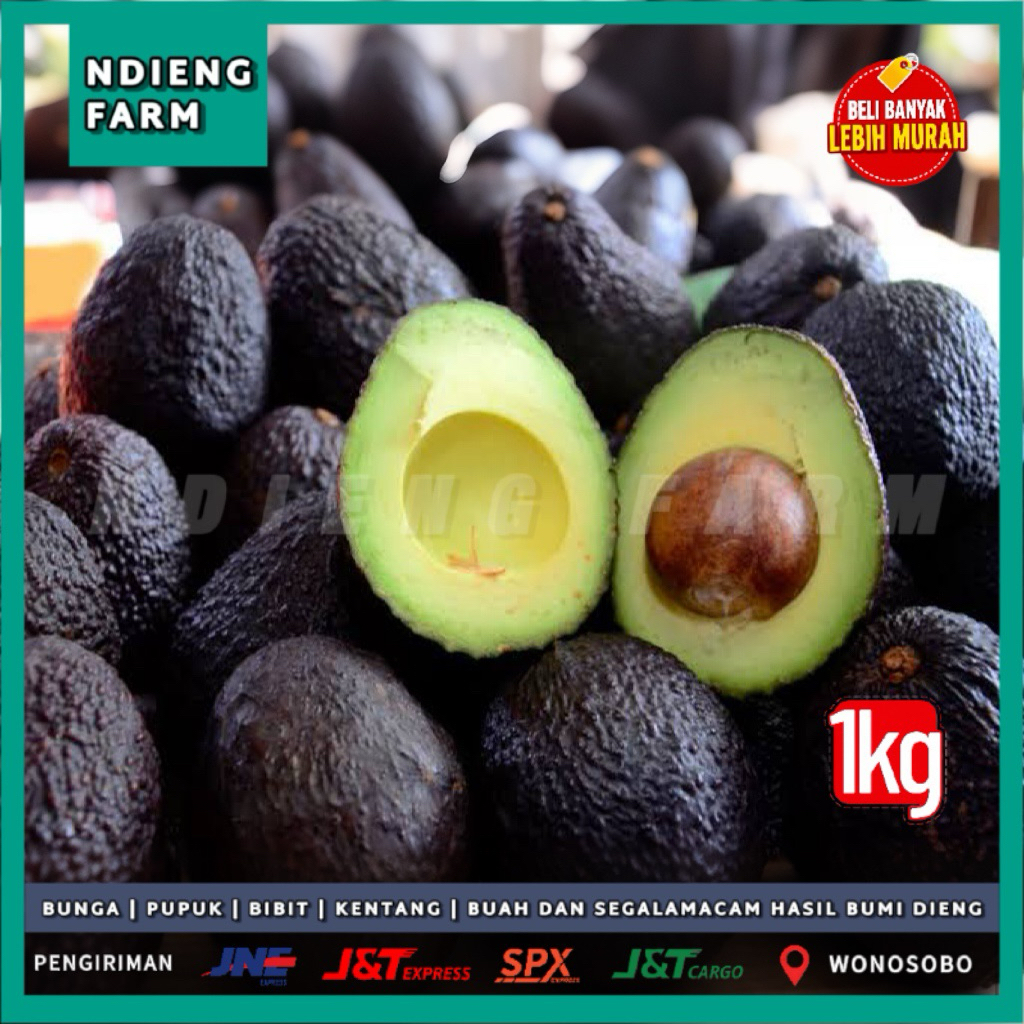 ALPUKAT HASS 1KG – GARANSI BUAH TUA, GURIH & MENTEGA