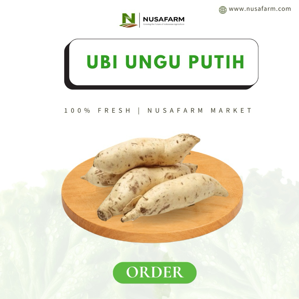NUSAMART - Ubi Ungu Kulit Putih Matang / Ubi Taro Premium Kukus Siap Santap [500g / 1 Buah]