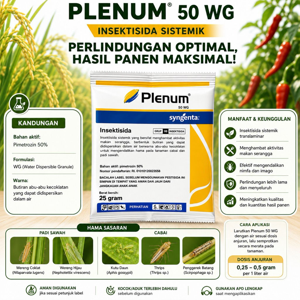 Plenum 50 WG 25 Gram