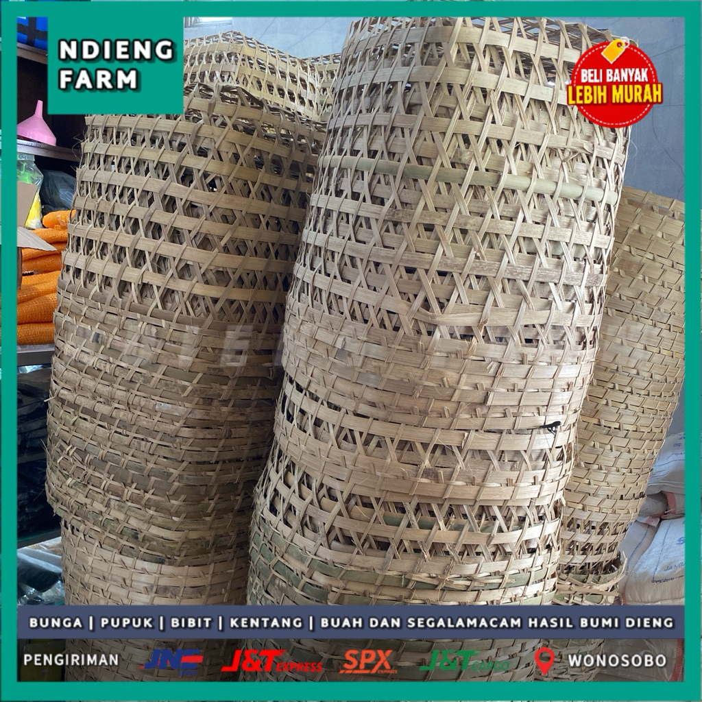 keranjang tomat ukuran kirang lebih 60cm