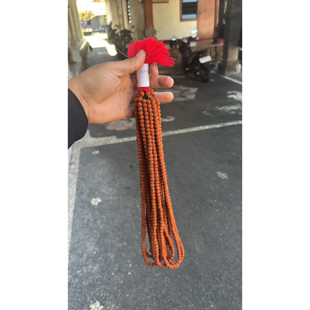 Kalung genitri  polosan ukuran 8 mm - kalung jenitri polosan - kalung Rudraksha - Kalung dewa siwa