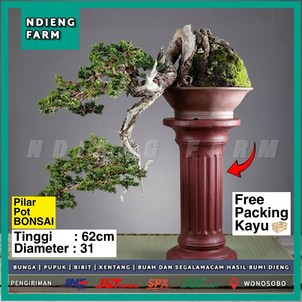 Pilar Pot Bonsai Tinggi 62cm Diameter 31cm Klasik - Free Packing Kayu