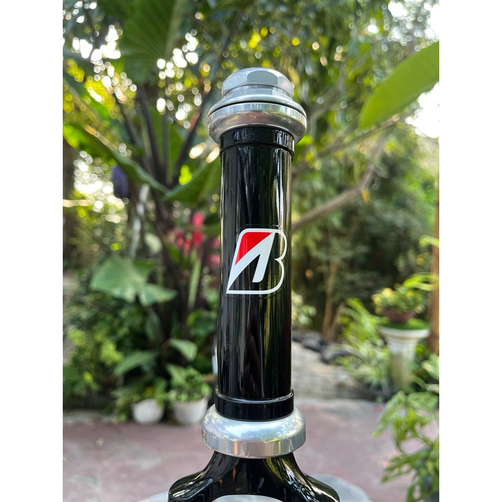 Frameset NJS Bridgestone