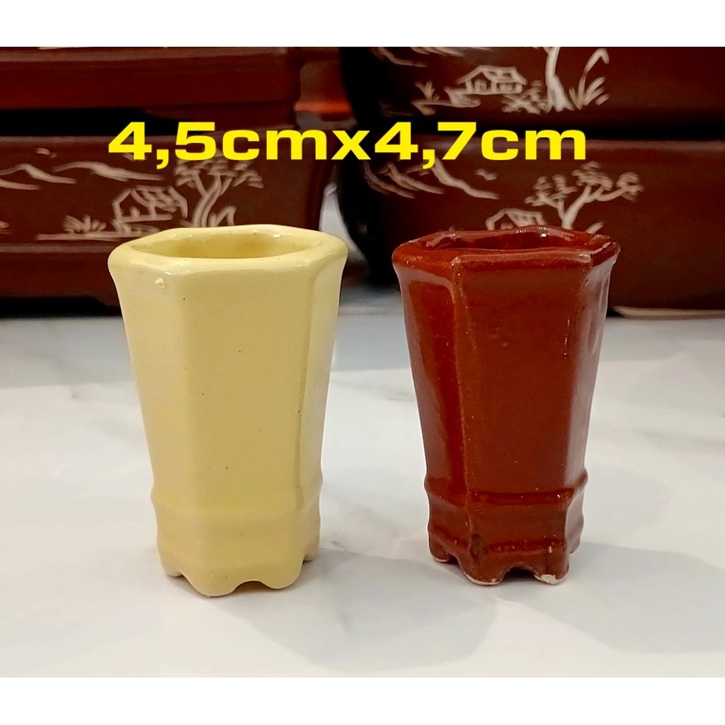 pot cascade segi6 mame