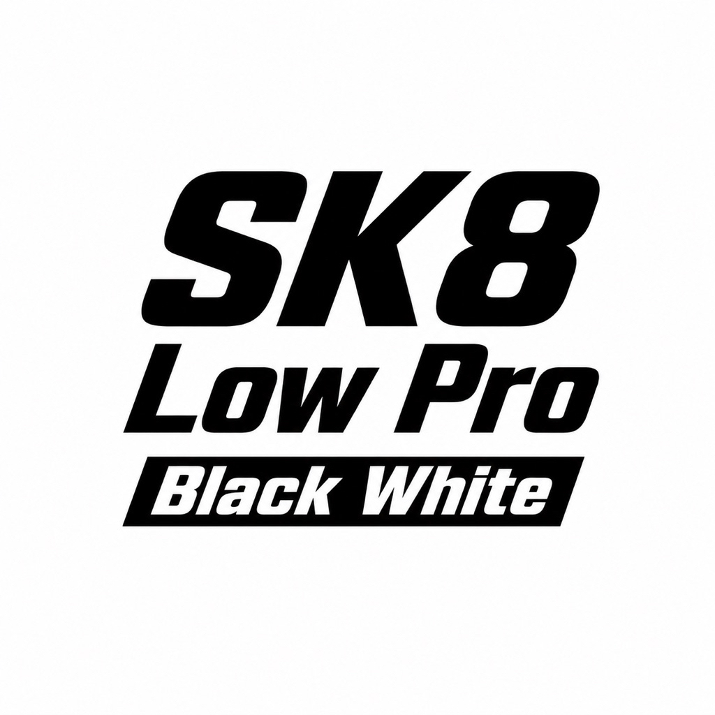Sepatu SK8 Low Pro All Black