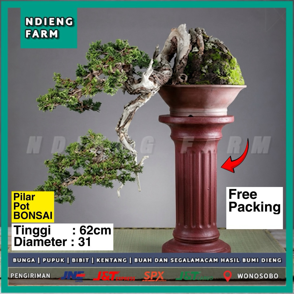Pilar Pot Bonsai Tinggi 62cm Diameter 31cm Klasik - Free Packing kardus tebal dan bubble wrap