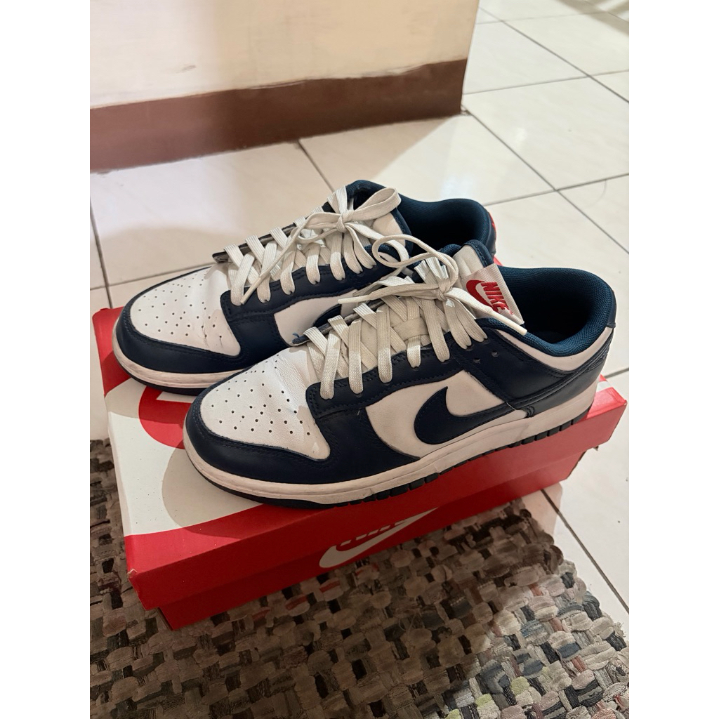 Nike Dunk Low Valerian Blue