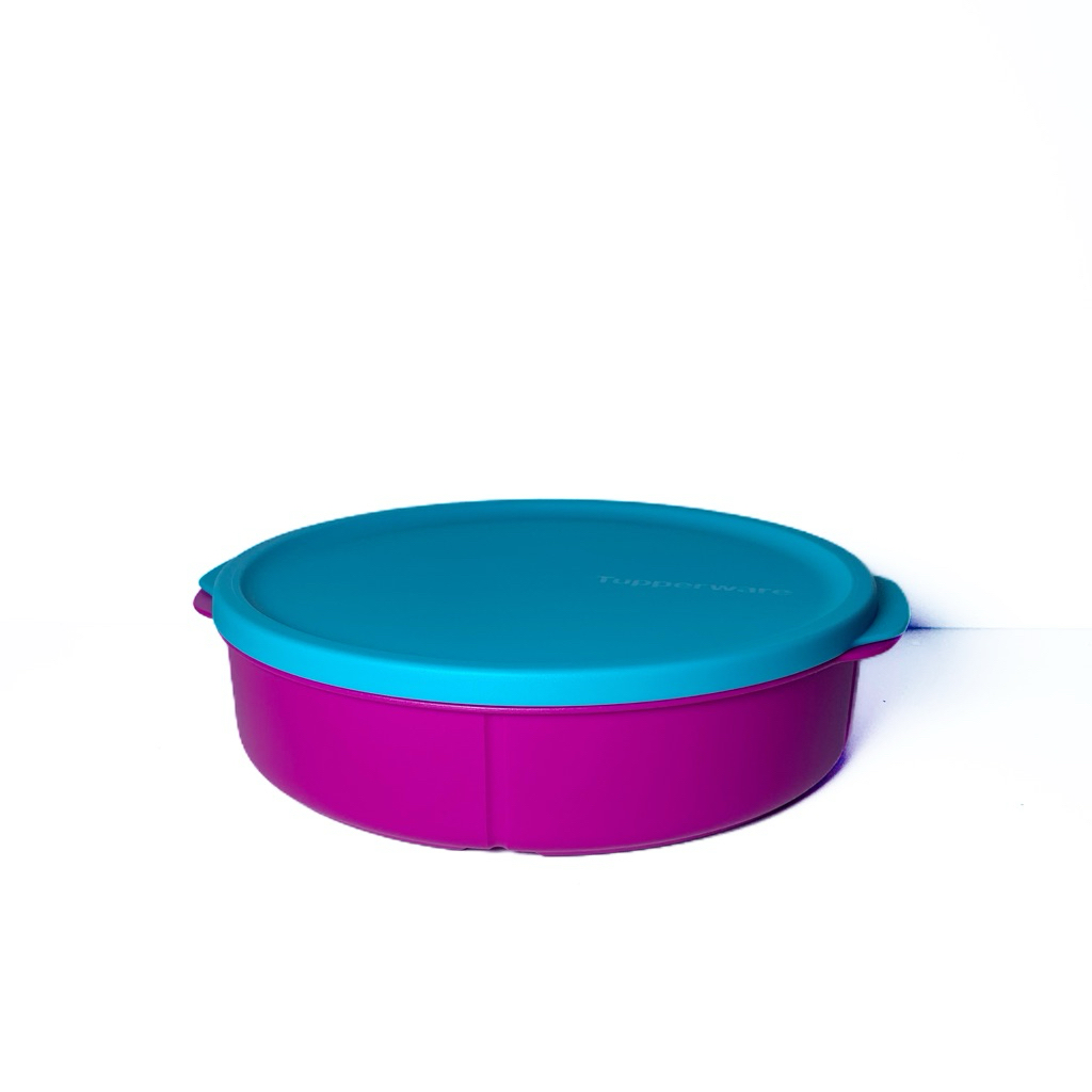 Tupperware Lunch Box Fit To Go