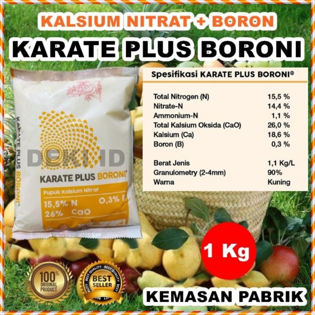 Karate plus Boroni