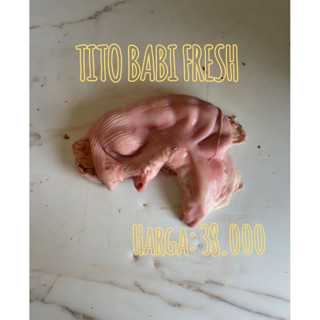 DAGING BABI (TITO BABI) FRESH BERKUALITAS 100%