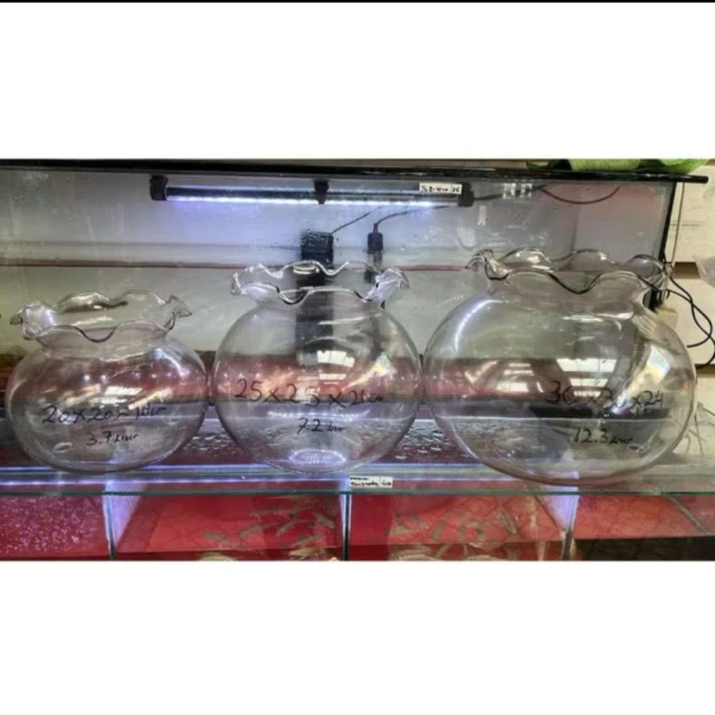Aquarium Bulat Fish Bowl / Aquarium Toples / Aquarium Undian