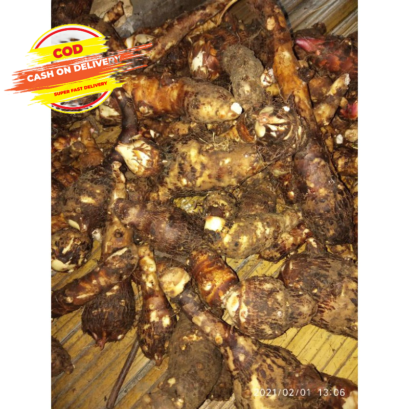 

Ubi umbi talas segar paket 1 kg