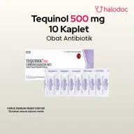Tequinol 500 mg 10 Kaplet