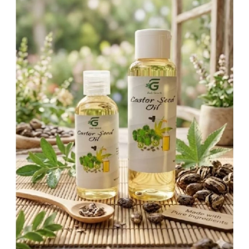 Castor Oil Seed Murni 100% | Biji Jarak Kepyar Alami | Bahan Minyak Rambut & Kosmetik